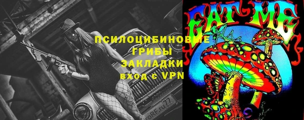 Альфа ПВП Лабытнанги