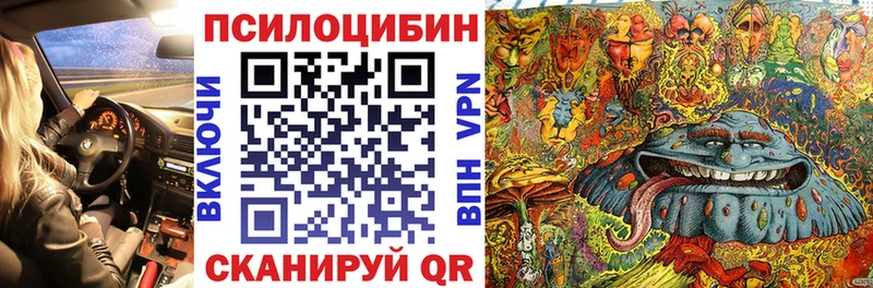 Купить закладки  Волхов  Галлюциногенные грибы MAGIC MUSHROOMS 
