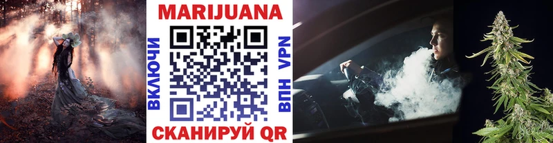 Купить закладки  Волхов  Шишки марихуана White Widow 